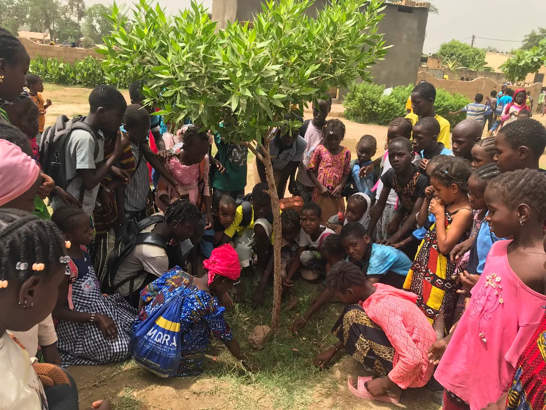 Illustration de paysans maliens